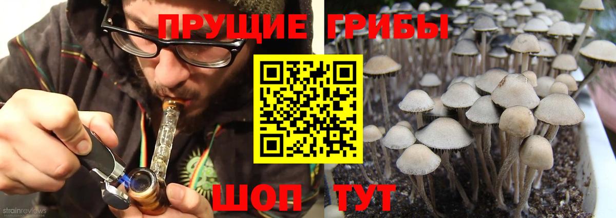 Псилоцибиновые грибы MAGIC MUSHROOMS Новочебоксарск