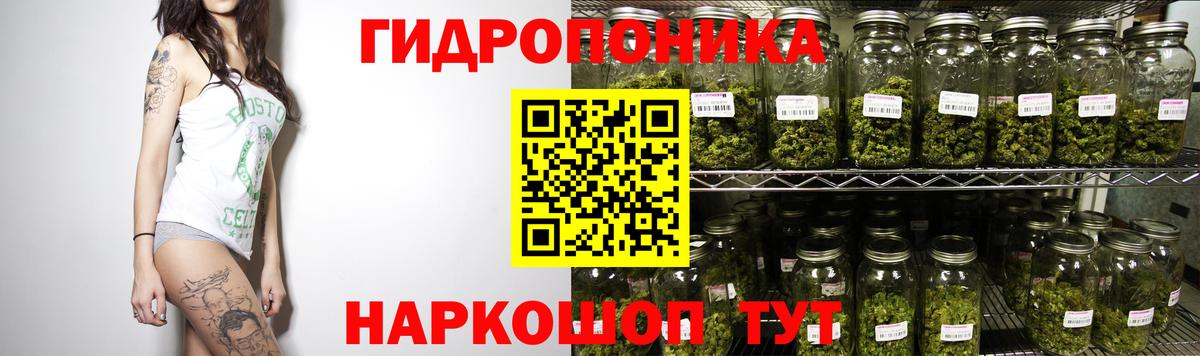 Канабис сатива Новочебоксарск
